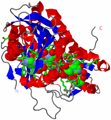 Image Asym./Biol. Unit - sites