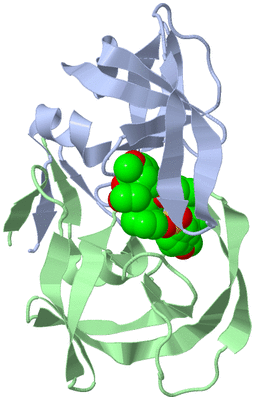 Image Biological Unit 1