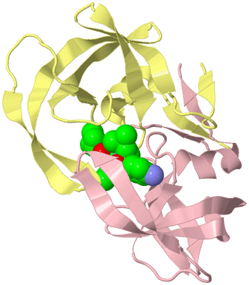 Image Biological Unit 2