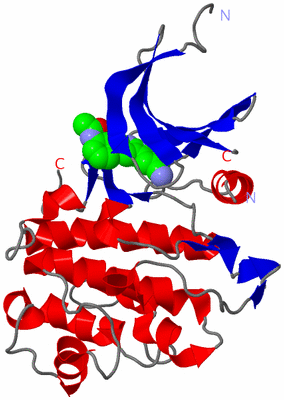 Image Asym./Biol. Unit