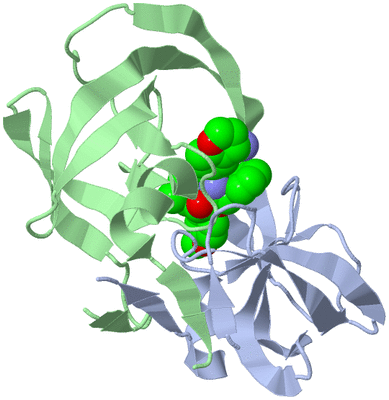 Image Biological Unit 1