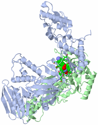 Image Asym./Biol. Unit - sites