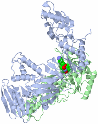 Image Asym./Biol. Unit