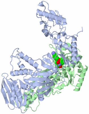 Image Asym./Biol. Unit