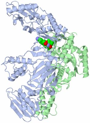 Image Asym./Biol. Unit