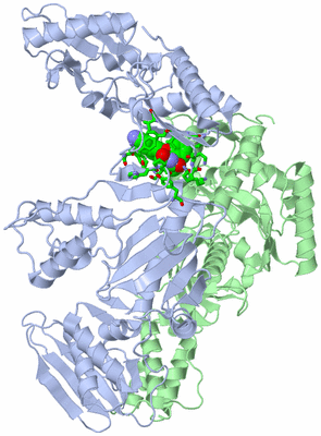 Image Asym./Biol. Unit - sites