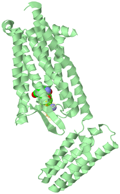 Image Biological Unit 2