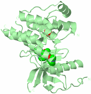 Image Biological Unit 2