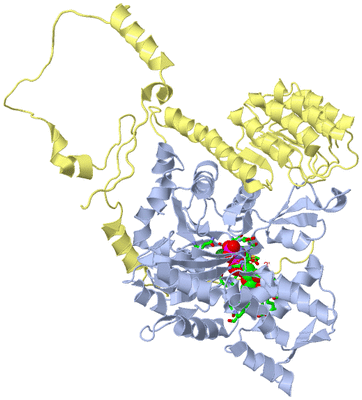 Image Biol. Unit 1 - sites