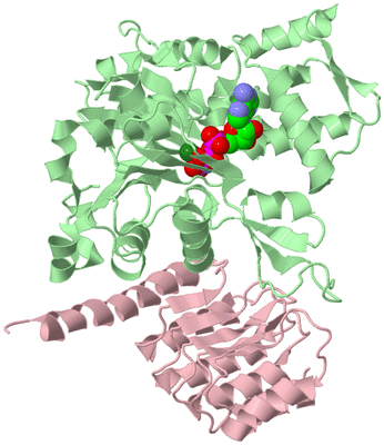 Image Biological Unit 2