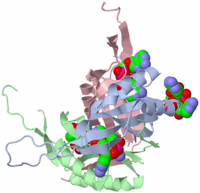 Image Asym./Biol. Unit