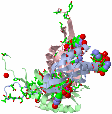 Image Asym./Biol. Unit - sites