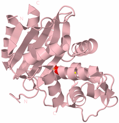 Image Biological Unit 3