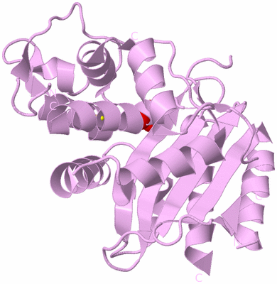 Image Biological Unit 5