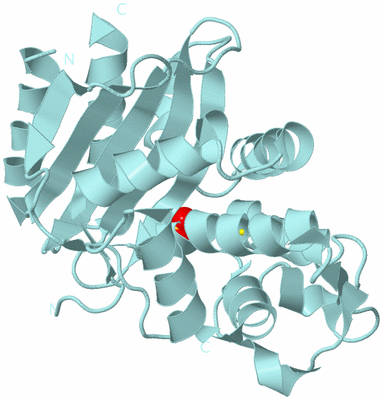 Image Biological Unit 6