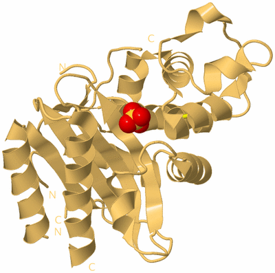 Image Biological Unit 7