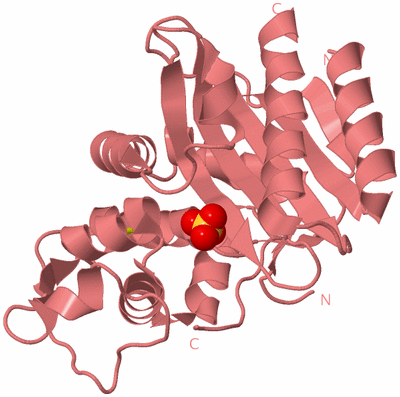 Image Biological Unit 8