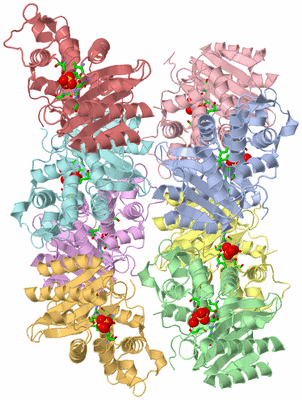 Image Asym. Unit - sites