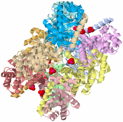 Image Asym./Biol. Unit