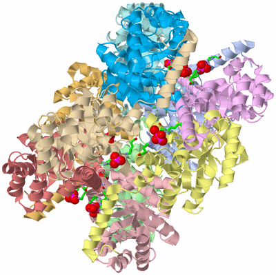 Image Asym./Biol. Unit - sites