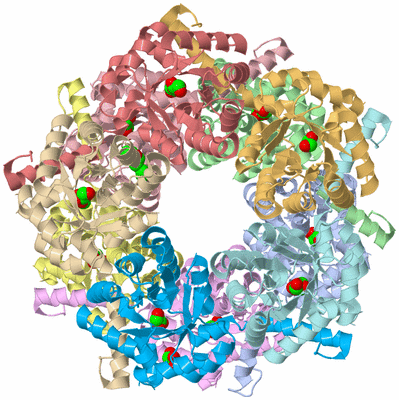 Image Asym./Biol. Unit