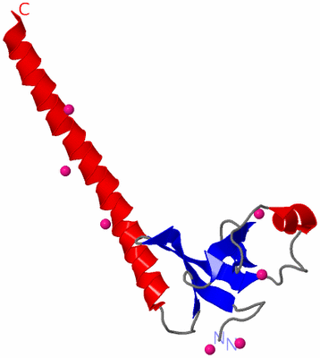 Image Asymmetric Unit