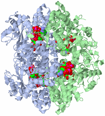 Image Biological Unit 1