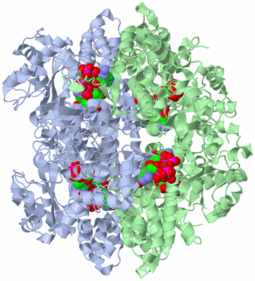 Image Biological Unit 1