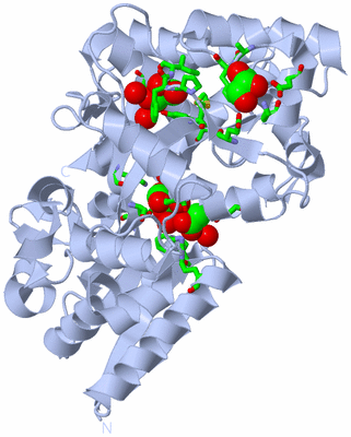 Image Biol. Unit 1 - sites