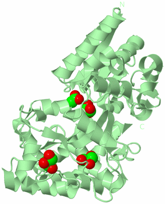 Image Biological Unit 2