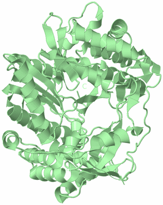 Image Biological Unit 2