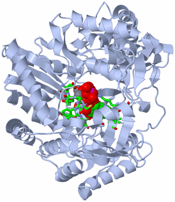 Image Biol. Unit 1 - sites