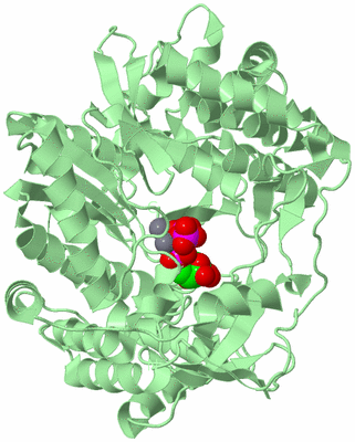 Image Biological Unit 2