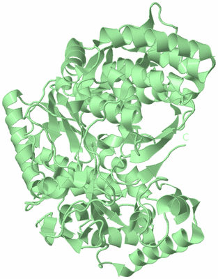 Image Biological Unit 2