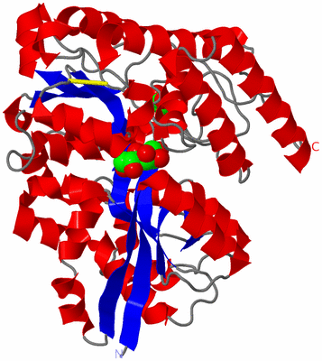 Image Asym./Biol. Unit