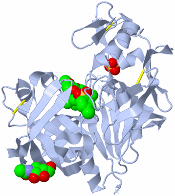 Image Biological Unit 1