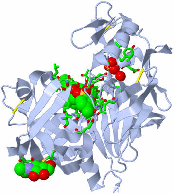 Image Biol. Unit 1 - sites