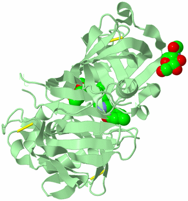 Image Biological Unit 2