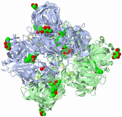 Image Biological Unit 3