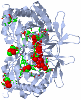 Image Biol. Unit 1 - sites