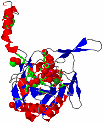 Image Asym. Unit - sites