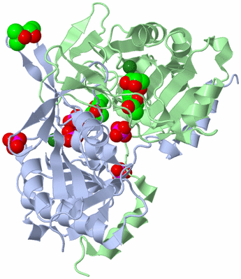 Image Biological Unit 1