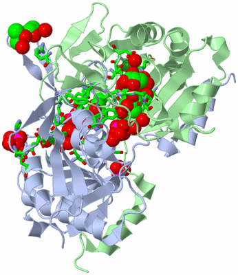 Image Biol. Unit 1 - sites