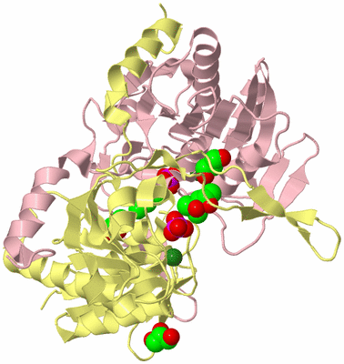 Image Biological Unit 2