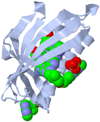 Image Biological Unit 1