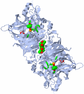 Image Biological Unit 1