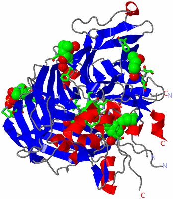 Image Asym. Unit - sites