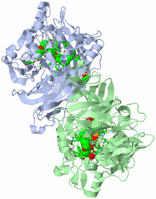 Image Asym./Biol. Unit - sites