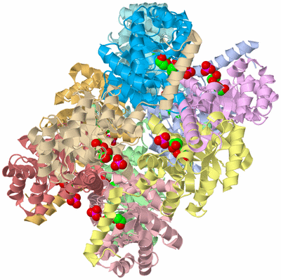 Image Asym./Biol. Unit