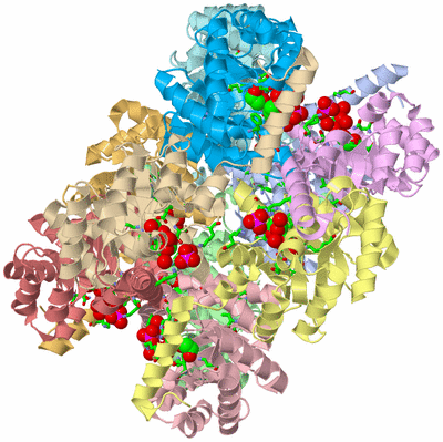 Image Asym./Biol. Unit - sites